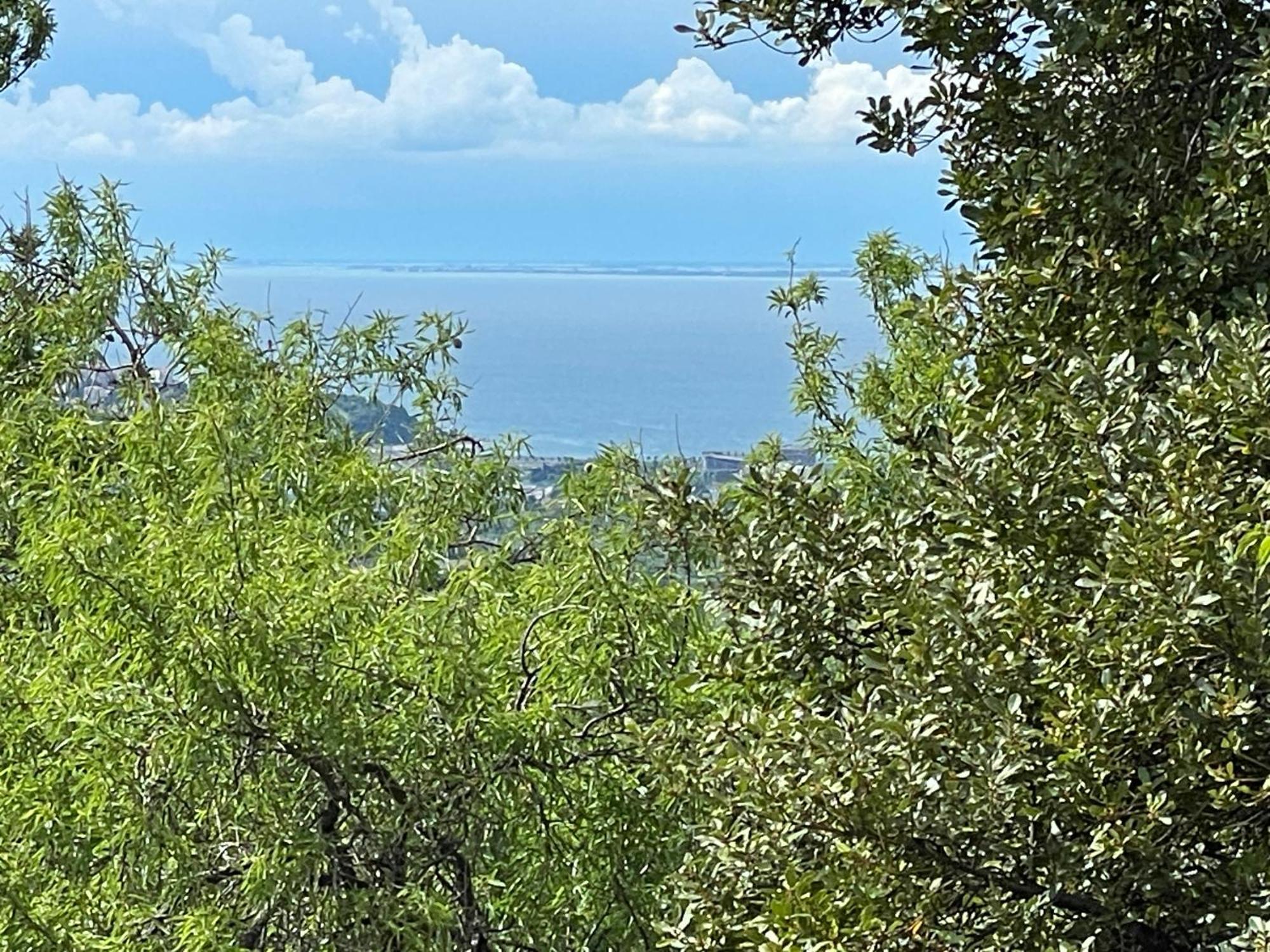 Paradise With Swimming Pool Villa Koper