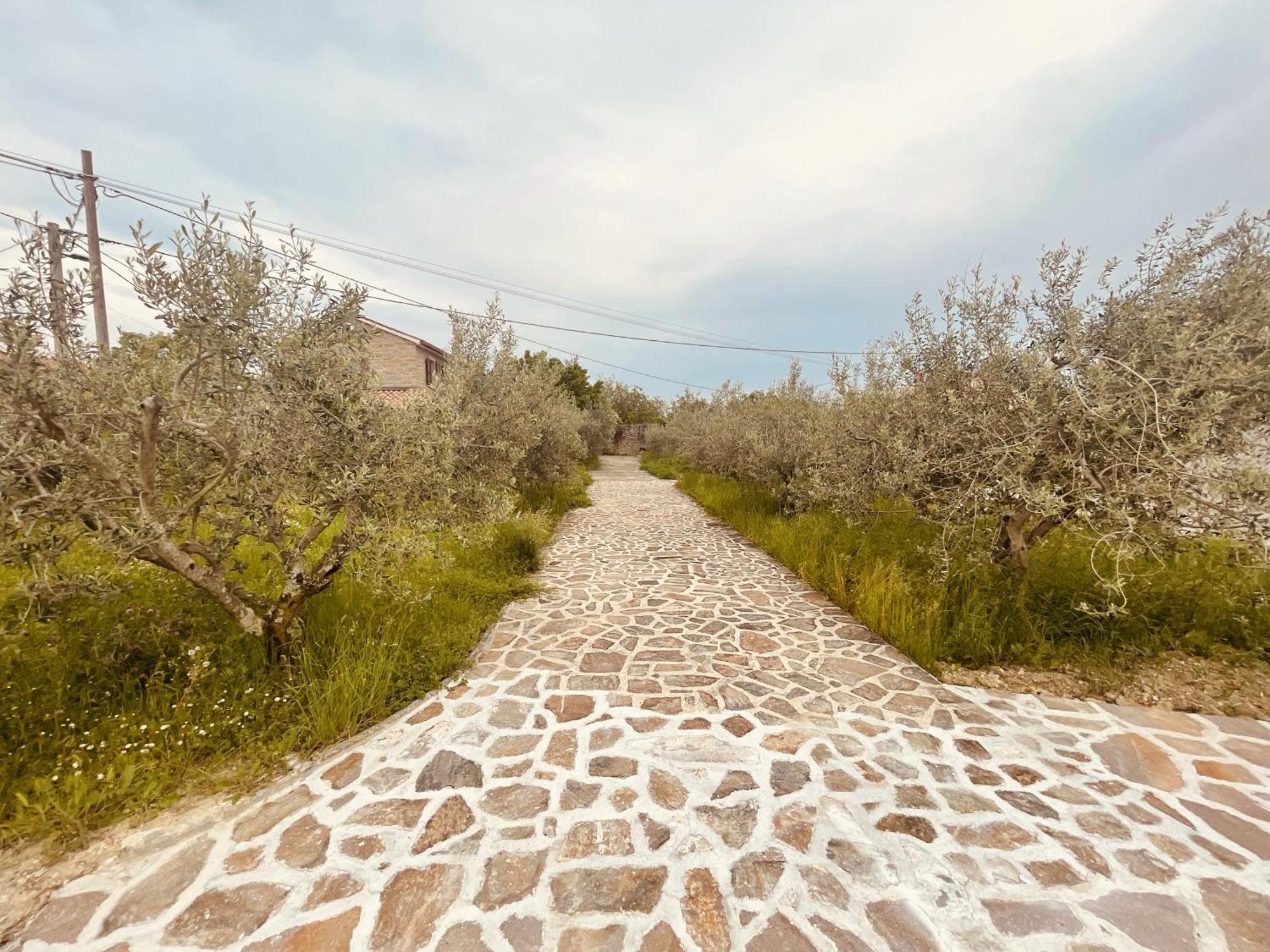 Villa Paradise With Swimming Pool Koper